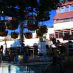 img-0608.jpg