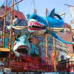 img-0631.jpg