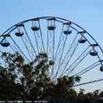 img-0785.jpg