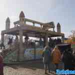 leer-gallimarkt-13-10-2024-269.jpg