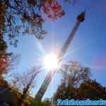 leer-14-10-2018-0003.jpg