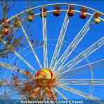 img-9449.jpg