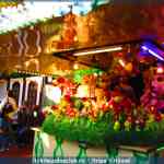 img-9484.jpg