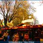 img-9546.jpg