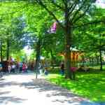 img-4916.jpg
