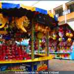 img-8446.jpg