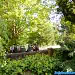 liseberg-0115.jpg