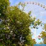 liseberg-0205.jpg