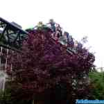 liseberg-0210.jpg