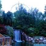 liseberg-0252.jpg