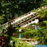 liseberg-0288.jpg