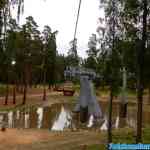 kolmarden-0154.jpg