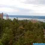 kolmarden-0195.jpg