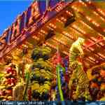 img-5431.jpg