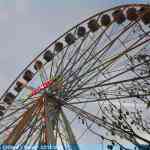 img-0808.jpg