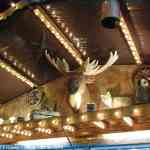 img-0942.jpg