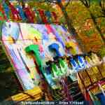 img-9850.jpg