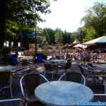drouwenerzand-27-05-2018-0002.jpg