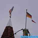 drouwenerzand-25-10-2019-005.jpg