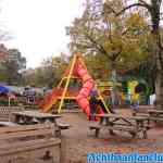 drouwenerzand-25-10-2019-014.jpg
