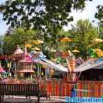 drouwenerzand-21-05-2020-079.jpg