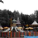 drouwenerzand-22-05-2020-221.jpg