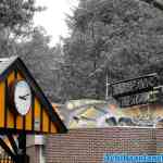 drouwenerzand-22-05-2020-356.jpg