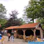 drouwenerzand-29-08-2020-033.jpg
