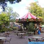 drouwenerzand-29-08-2020-071.jpg