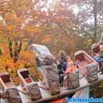drouwenerzand-26-10-2020-005.jpg