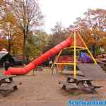 drouwenerzand-26-10-2020-023.jpg
