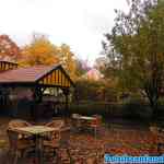 drouwenerzand-26-10-2020-040.jpg