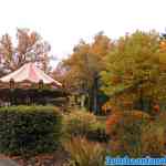 drouwenerzand-26-10-2020-041.jpg