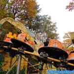 drouwenerzand-26-10-2020-043.jpg