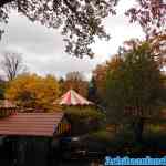 drouwenerzand-26-10-2020-064.jpg