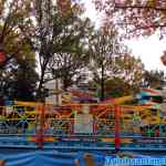 drouwenerzand-26-10-2020-073.jpg