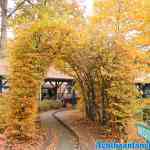 drouwenerzand-26-10-2020-083.jpg