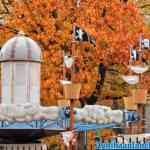 drouwenerzand-26-10-2020-096.jpg