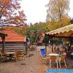 drouwenerzand-26-10-2020-099.jpg