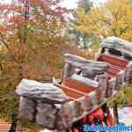 drouwenerzand-26-10-2020-108.jpg