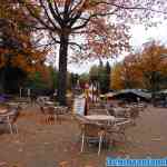 drouwenerzand-26-10-2020-116.jpg