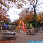 drouwenerzand-26-10-2020-119.jpg