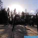 drouwenerzand-13-01-2021-026.jpg