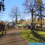 drouwenerzand-13-01-2021-027.jpg