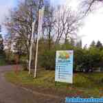 drouwenerzand-13-01-2021-037.jpg