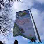 drouwenerzand-03042020-025.jpg