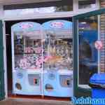 drouwenerzand-22-23-05-2021-006.jpg