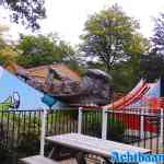 6731f60955d1d_drouwenerzand-01-09-2021-005.jpg