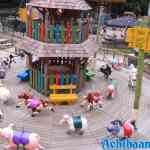 6731f61d6d01c_drouwenerzand-01-09-2021-041.jpg