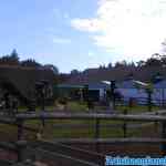 drouwenerzand-26-09-2021-027.jpg